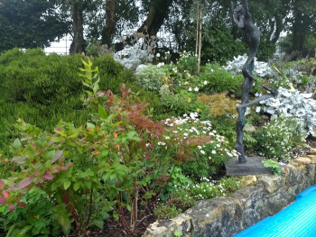 Garden designer in Kent and Sussex